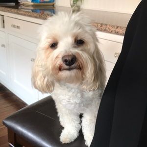 Meet your Posher, Doug